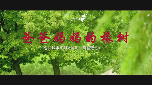 包頭2.jpg